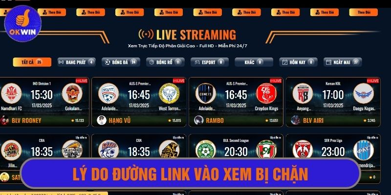 Đường link bị chặn một trong số nguyên có thể do đường truyền mạng