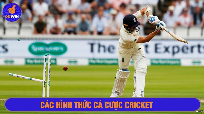 Cược vào cầu thủ chơi Cricket xuất sắc nhất 