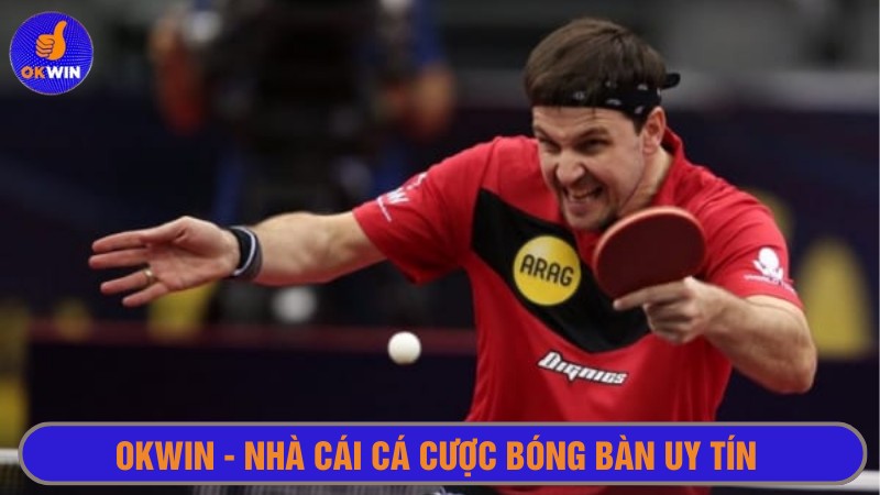 Thương hiệu OKWIN là địa chỉ cá độ thu hút nhiều người chơi