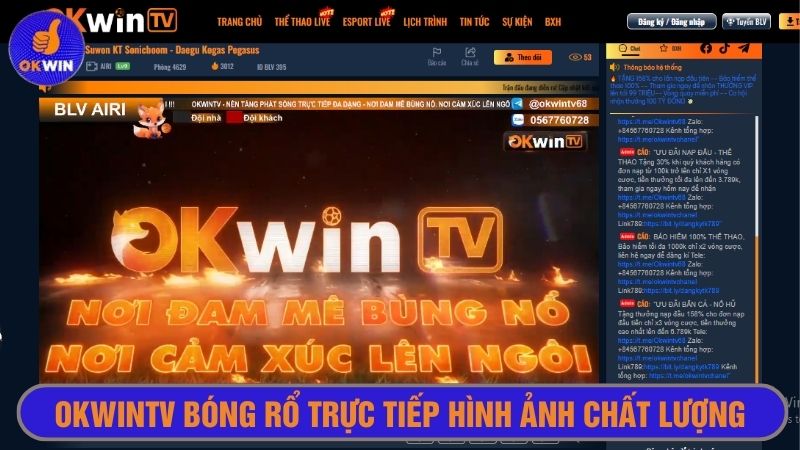 Hình ảnh chiếu trực tiếp trận bóng rổ chân thực và sống động