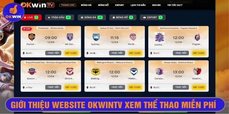 Trang web Okwintv xem thể thao miễn phí rất thịnh hành hiện nay