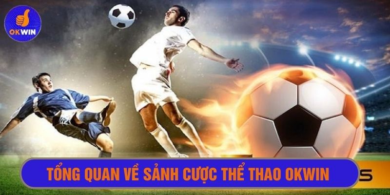 Tổng quan về sảnh cược thể thao Okwin 