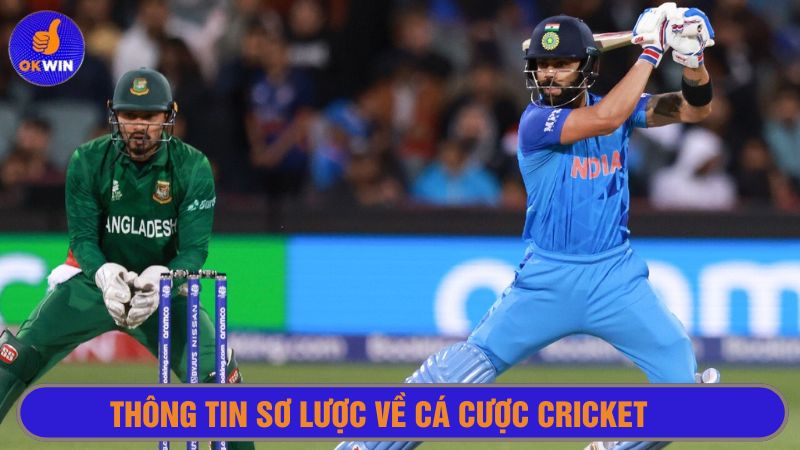 Cá cược Cricket chỉ mới phổ biến tại Việt Nam 