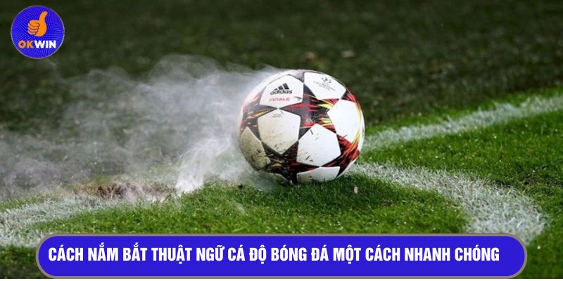 Cách nắm bắt thuật ngữ cá độ bóng đá một cách nhanh chóng 