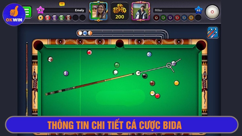 Thông tin trò chơi rõ ràng, dễ hiểu