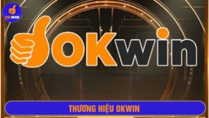 Thương hiệu Okwin