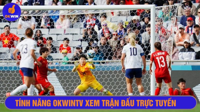 Hình ảnh sắc nét, đường link chất lượng cao