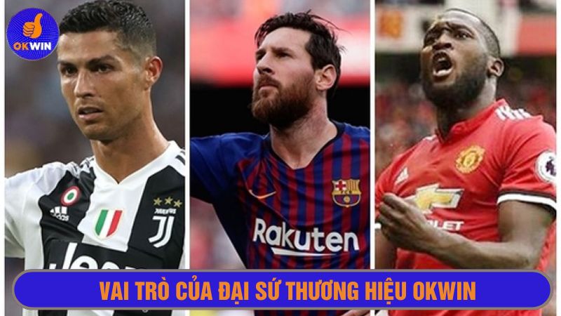 Đại sứ thương hiệu Okwin giúp quảng bá hình ảnh