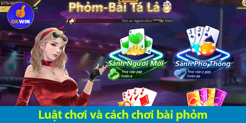 Bài Phỏm: Khám phá cách chơi và các kỹ năng cần có để chơi luôn thắng